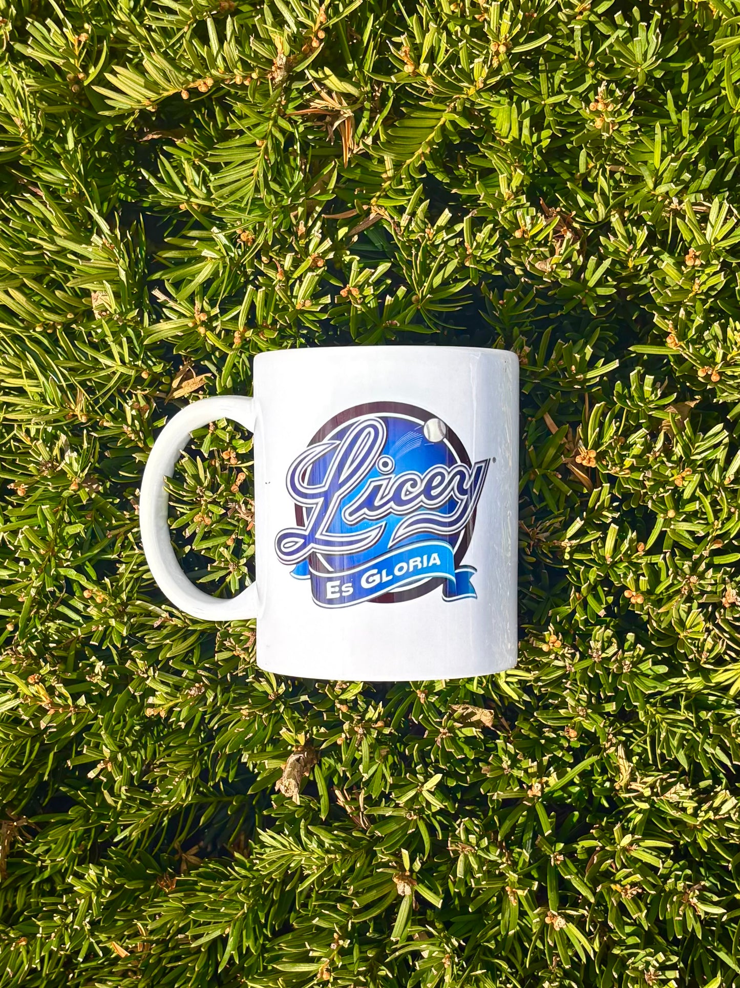 Licey Mug