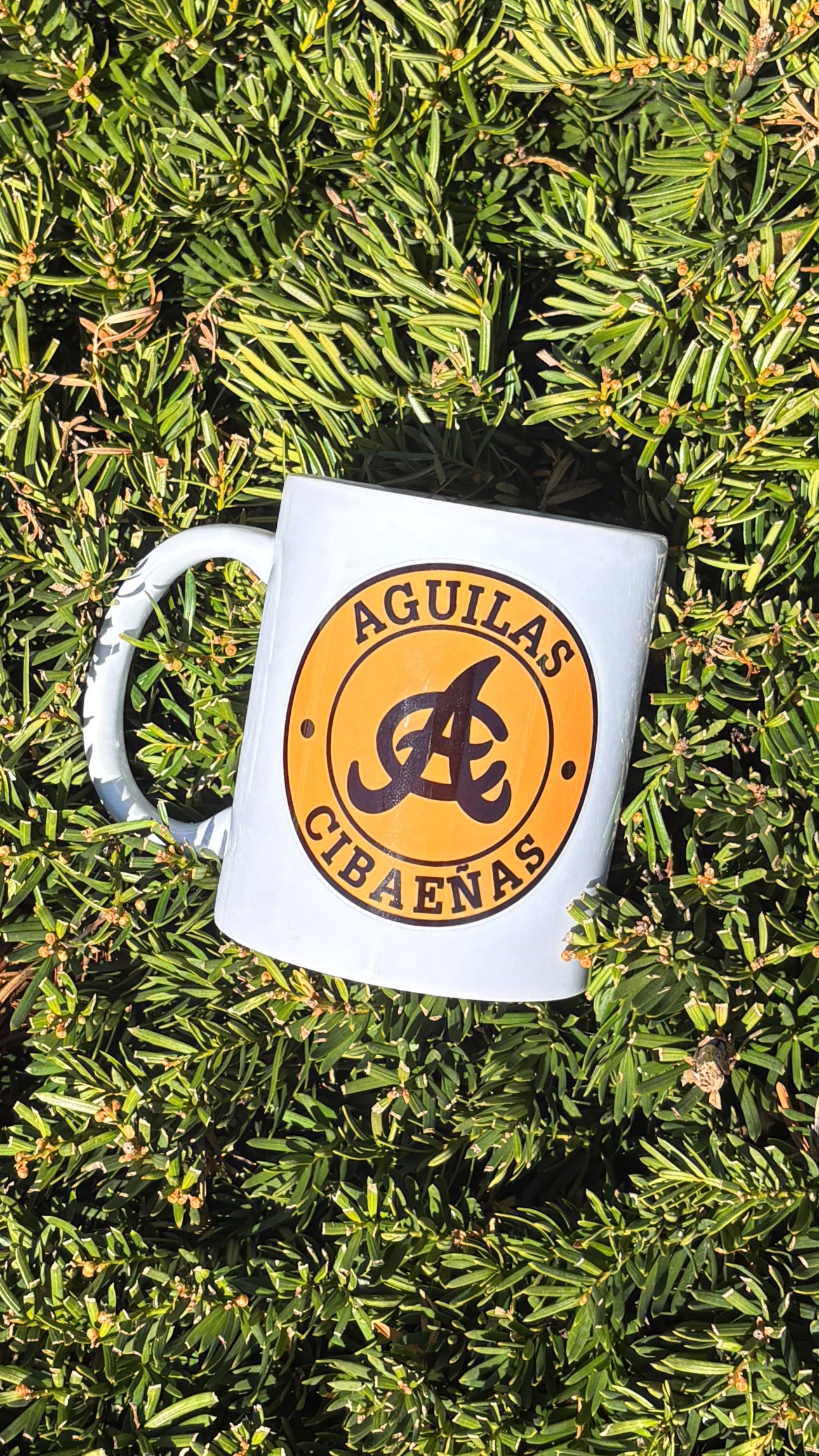 Águilas Mug